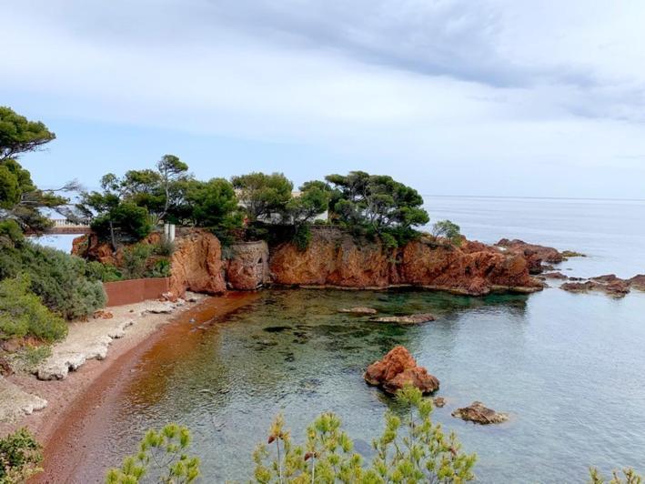 Appartement Vue Mer Domaine Arbore Saint-Raphaël 외부 사진